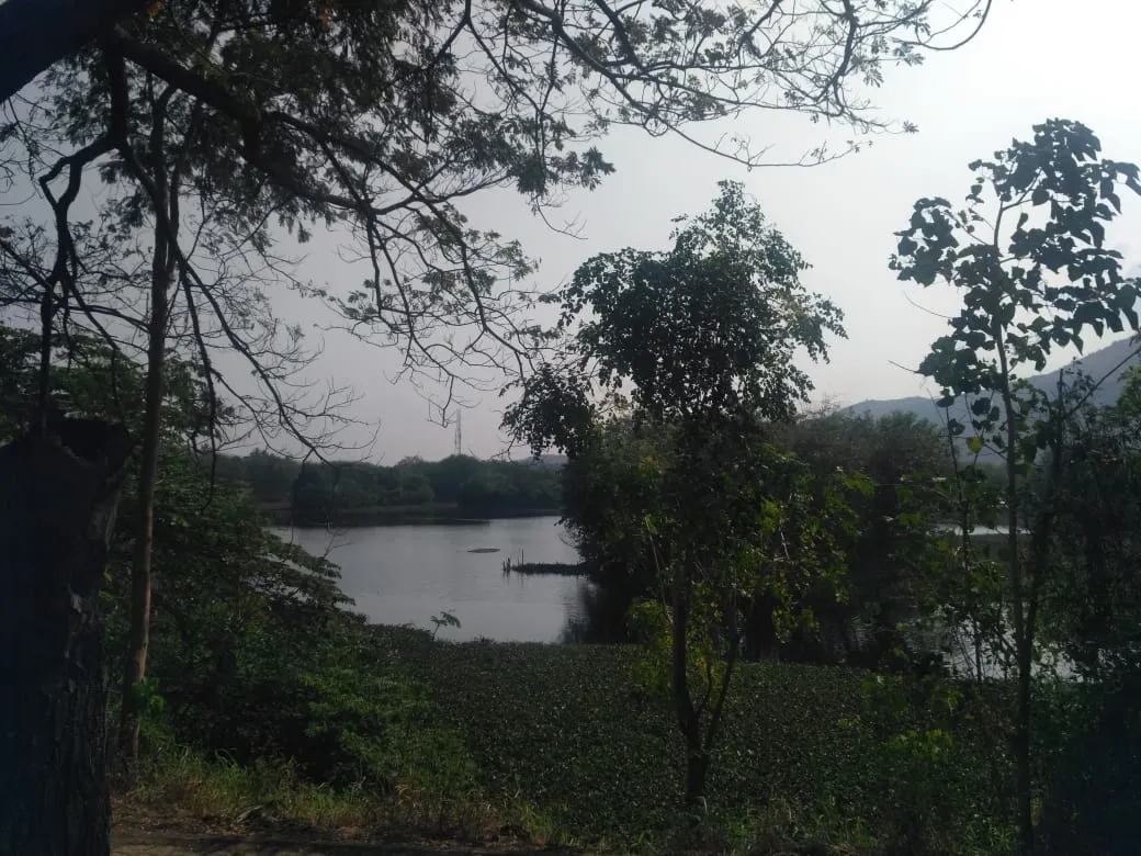 salem lake